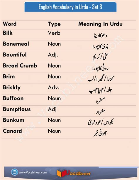 urdu in english meaning.